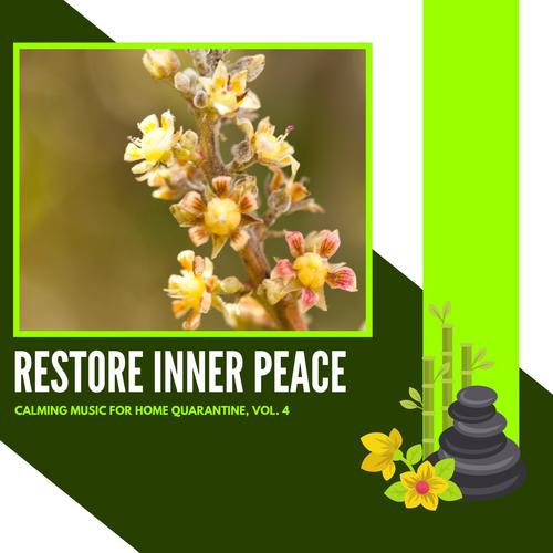 Restore Inner Peace - Calming Music For Home Quarantine, Vol. 4