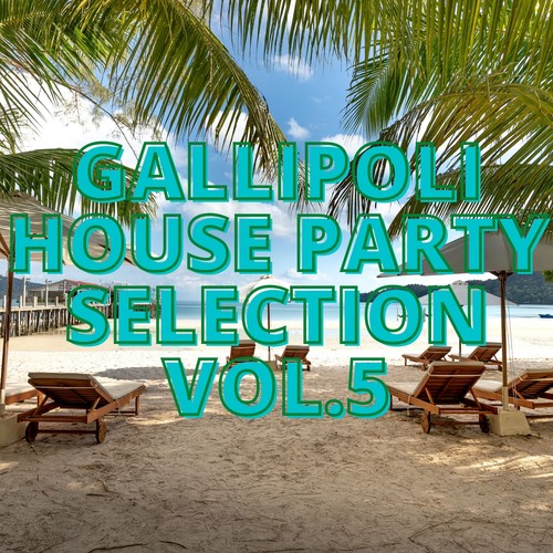 Gallipoli House Party Selection Vol.5