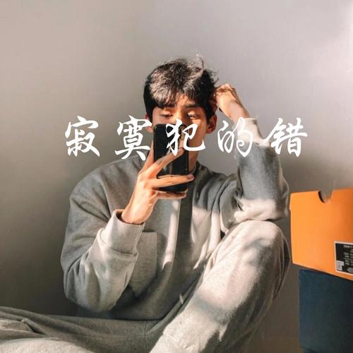 寂寞犯的错