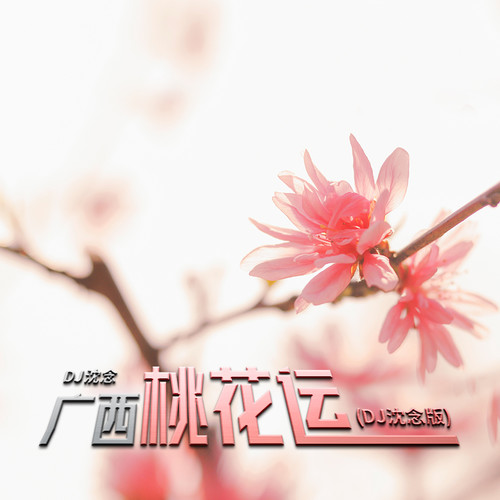 广西桃花运(DJ沈念版)
