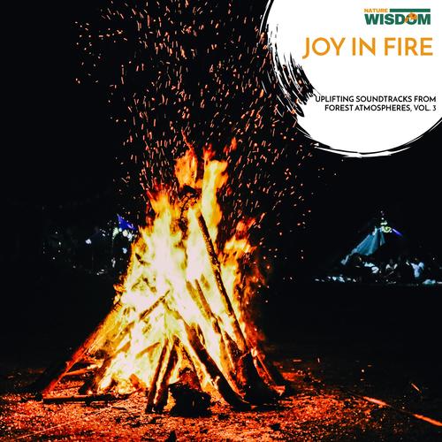 Joy in Fire - Uplifting Soundtracks from Forest Atmospheres, Vol. 3