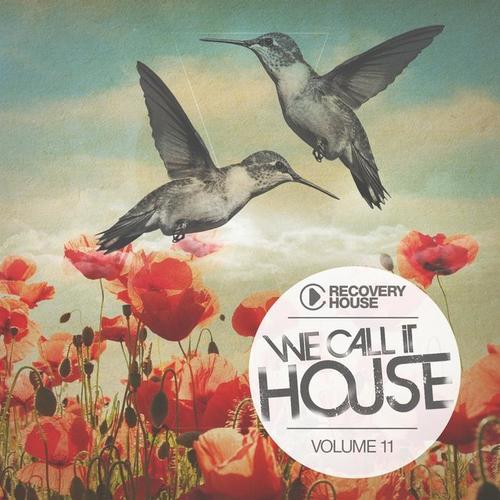 We Call It House, Vol. 11