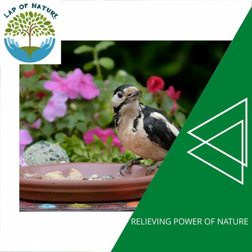 Relieving Power of Nature