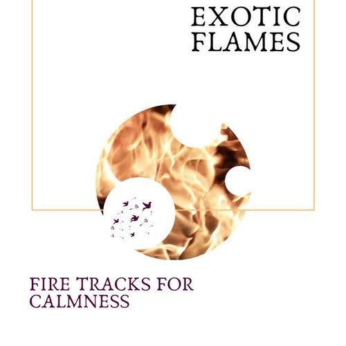 Exotic Flames - Fire Tracks for Calmness