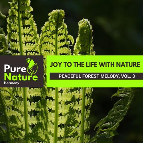 Joy to the Life with Nature - Peaceful Forest Melody, Vol. 3