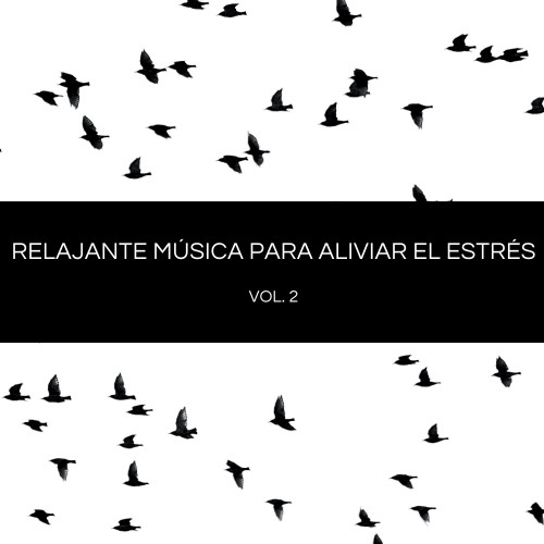 Relajante Música Para Aliviar El Estrés Vol. 2