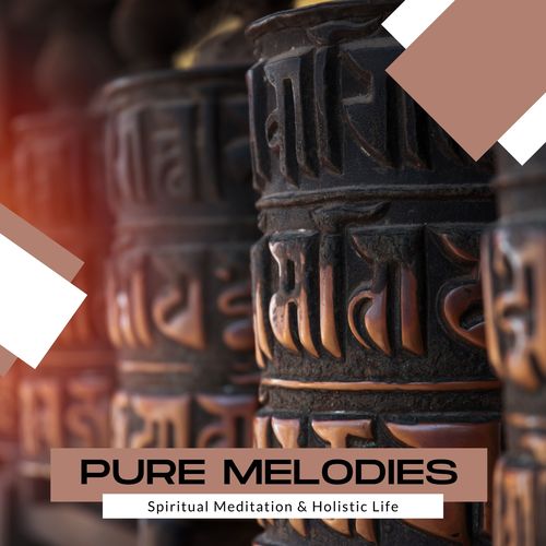 Pure Melodies - Spiritual Meditation & Holistic Life