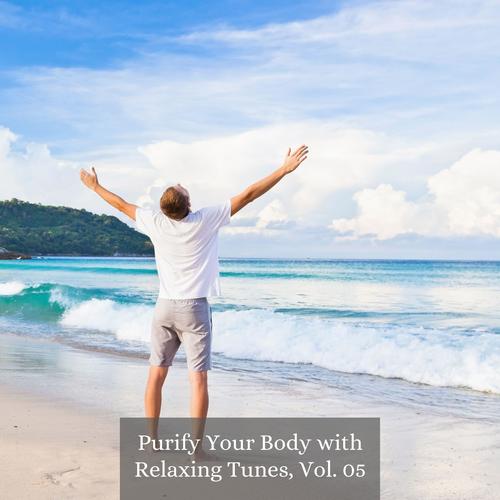 Purify Your Body with Relaxing Tunes, Vol. 05