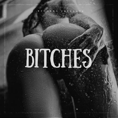 BITCHES (feat. Habstrakt, convolk & guardin) [Explicit]