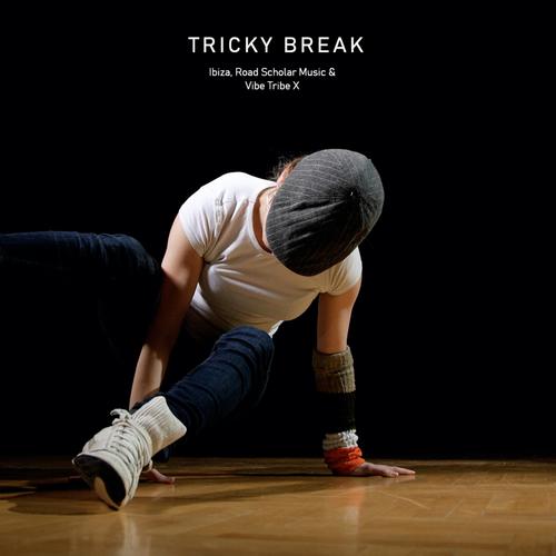 Tricky Break (feat. Road Scholar Music & Vibe Tribe X)