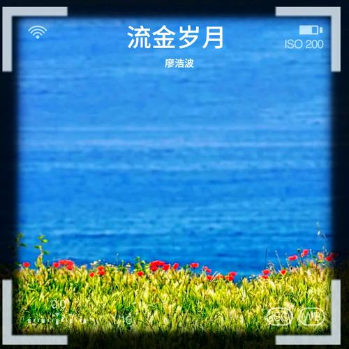 流金岁月