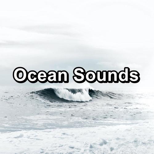 Ocean Sounds