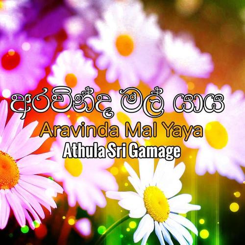 Aravinda Mal Yaya