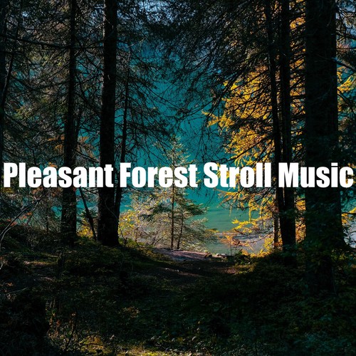 Pleasant Forest Stroll Music