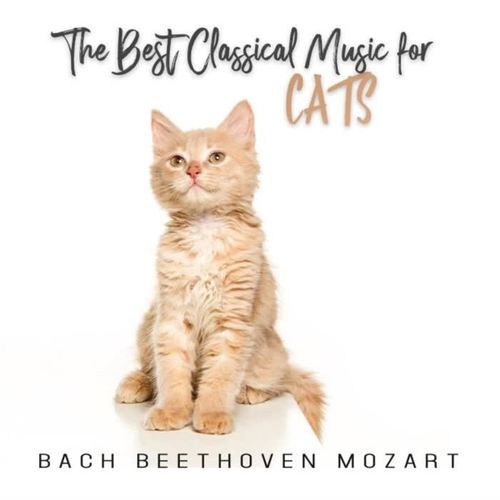 The Best Classical Music for Cats: Bach, Beethoven, Mozart, Calm Down Your Animal when You Are Out, Piano Music