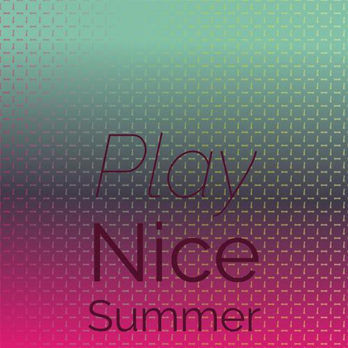 Play Nice Summer