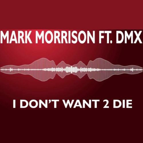 I Don't Want To Die (feat. DMX) - Single