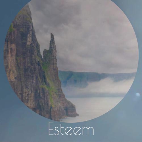 Esteem