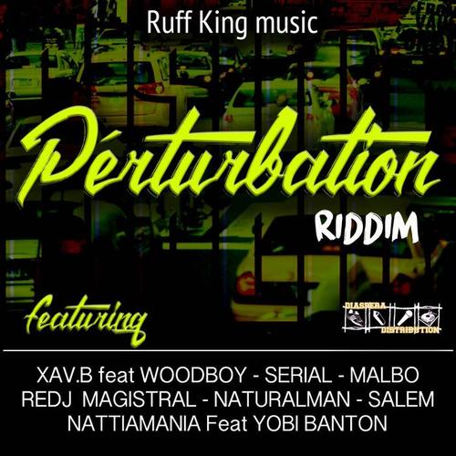 Pertubation Riddim