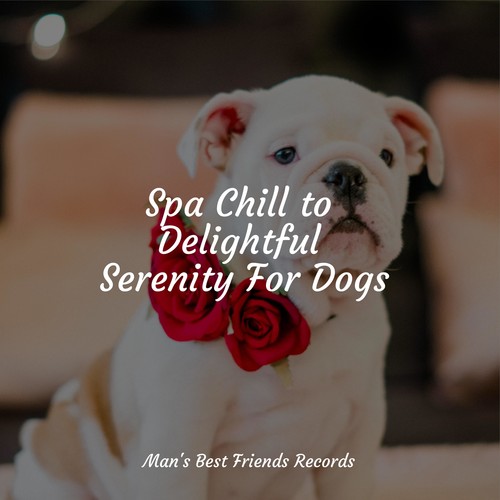 Spa Chill to Delightful Serenity For Dogs