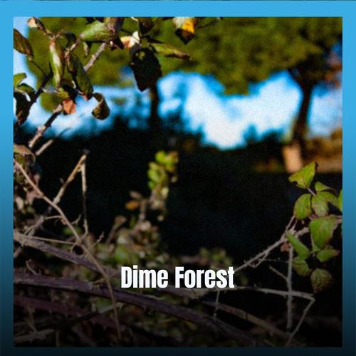 Dime Forest