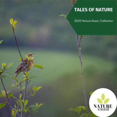 Tales of Nature - 2020 Nature Music Collection