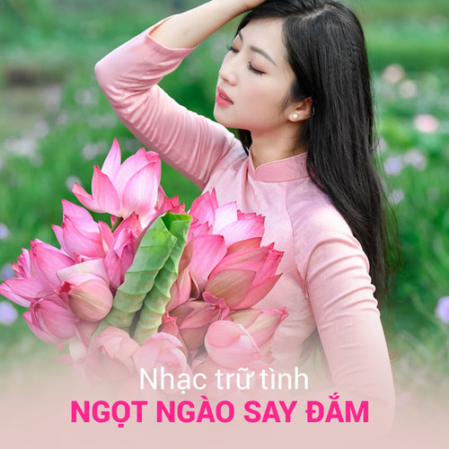 Nhạc Trữ Tình Ngọt Ngào Say Đắm