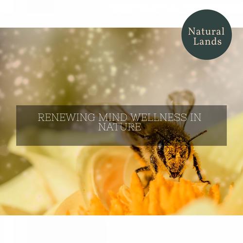 Renewing Mind Wellness in Nature