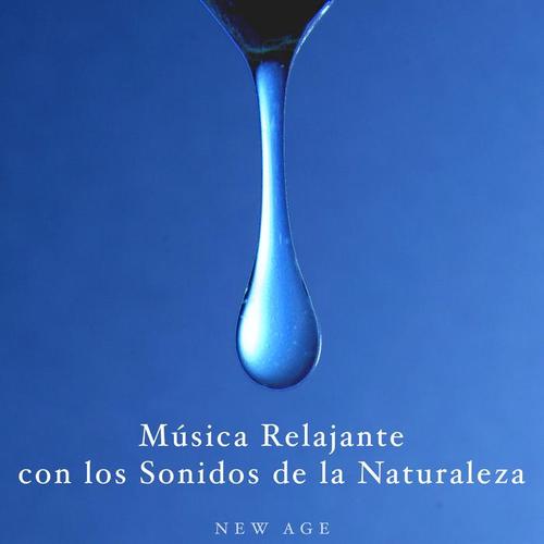 Musica Relajante con los Sonidos de la Naturaleza