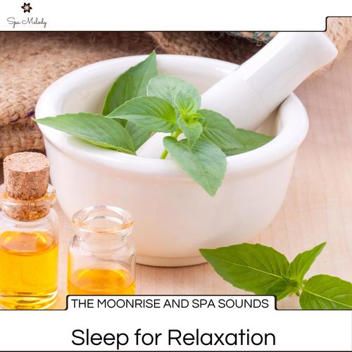 The Moonrise And Spa Sounds - Sleep For Relaxation