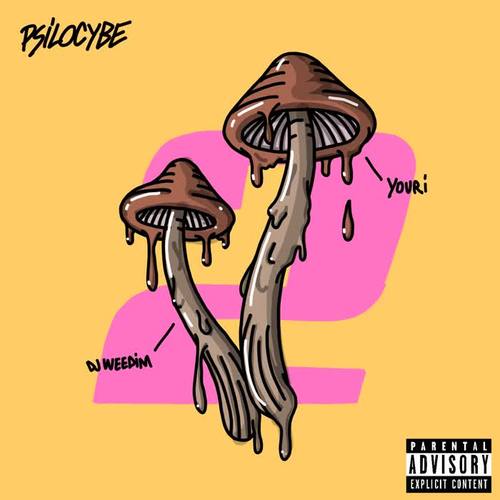 Psilocybe II