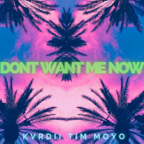 Don't Want Me Now (feat. Tim Moyo)