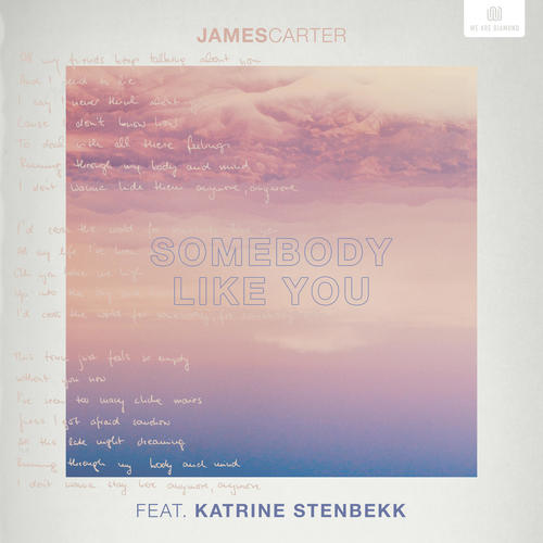 Somebody Like You