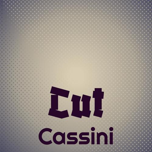 Cut Cassini