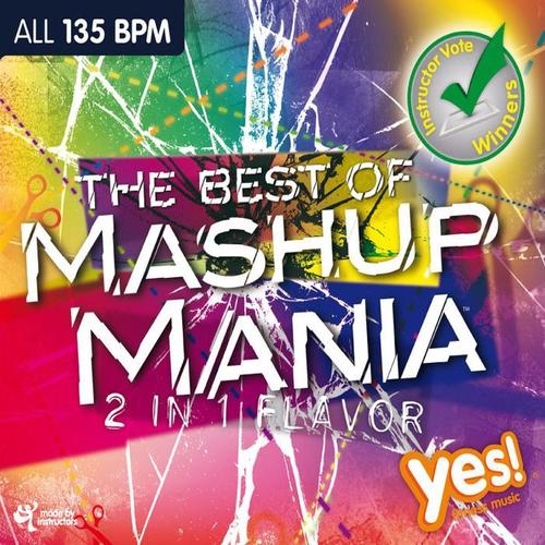 THE BEST OF MASHUP MANIA