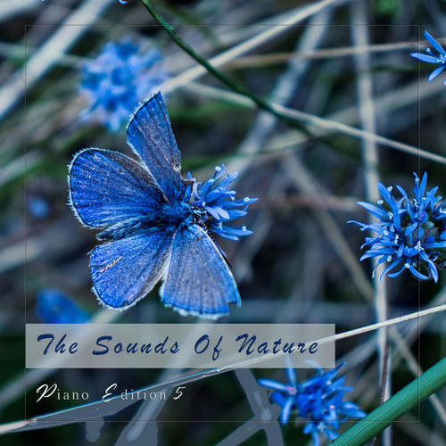 The Sounds of Nature, Piano Edition 5