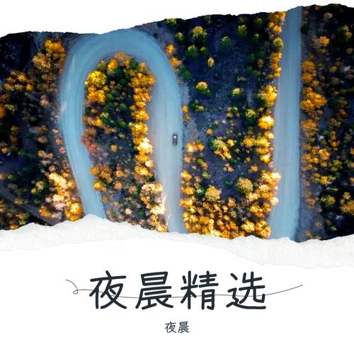 夜晨精选