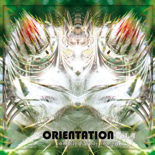 Orientation Vol.4