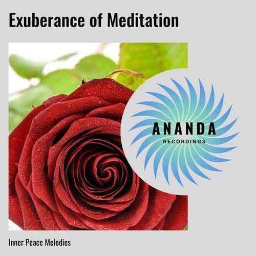 Exuberance of Meditation: Inner Peace Melodies