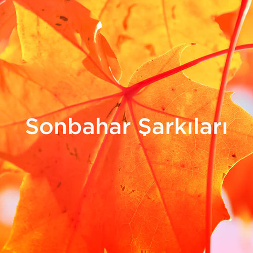 Sonbahar Sarkilari