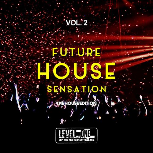 Future House Sensation, Vol. 2 (The House Edition)