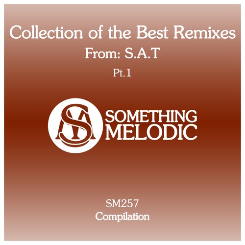 Collection of the Best Remixes From: S.A.T, Pt. 1