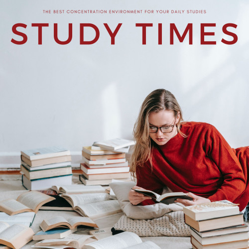 Study Times: The Best Concentration Environment For Your Daily Studies