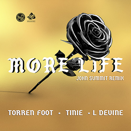 More Life (feat. Tinie Tempah & L Devine) (John Summit Extended Remix) [Explicit]