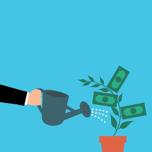 Take Care of Your Money Tree