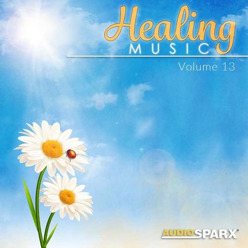 Healing Music Volume 13