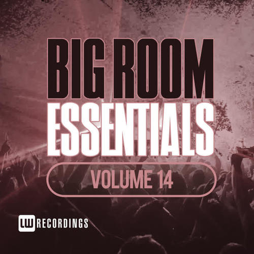 Big Room Essentials, Vol. 14