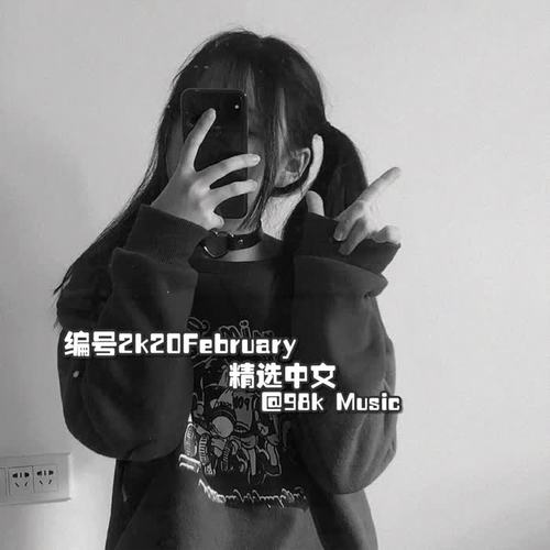 编号2k20February精选中文