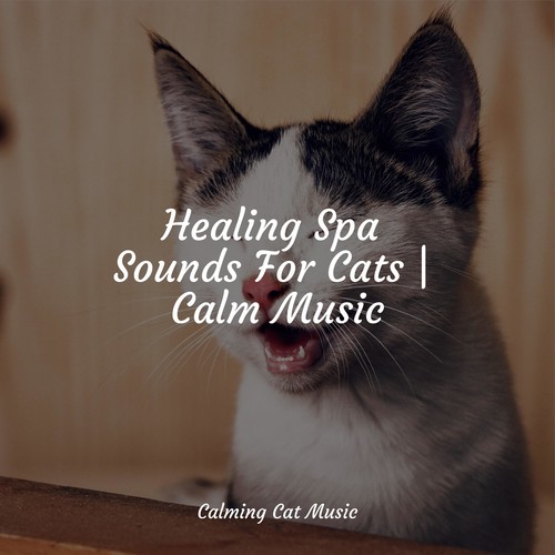 Healing Spa Sounds For Cats | Calm Music