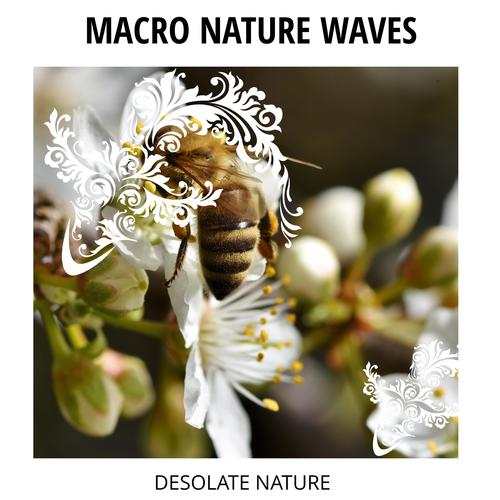 Macro Nature Waves - Desolate Nature